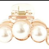 Kit com 12 piranhas linda perola atacado